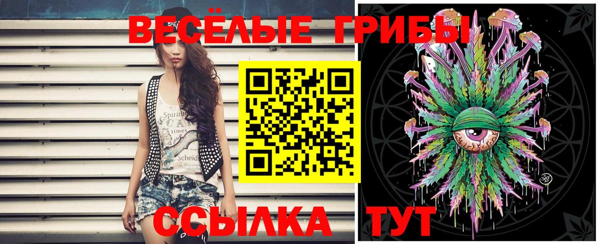 Электрогорск  Галлюциногенные грибы Magic Shrooms  Вход с VPN 