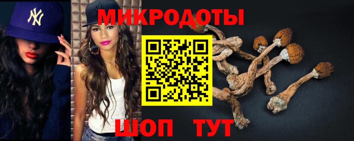 Псилоцибиновые грибы MAGIC MUSHROOMS Электрогорск